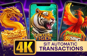 เปรียบเทียบสล็อตยอดนิยมในโหมดทดลองเล่นฟรี ufaslotsuper: Dragon Gold vs Fortune Tiger vs Phoenix Rising ภาพประกอบสล็อตยอดนิยม Dragon Gold, Fortune Tiger และ Phoenix Rising ในโหมดทดลองเล่นฟรีของ ufaslotsuper พร้อมกราฟิก 4K และบรรยากาศพรีเมียม
